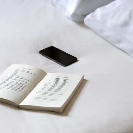Ibis Hotel 3*