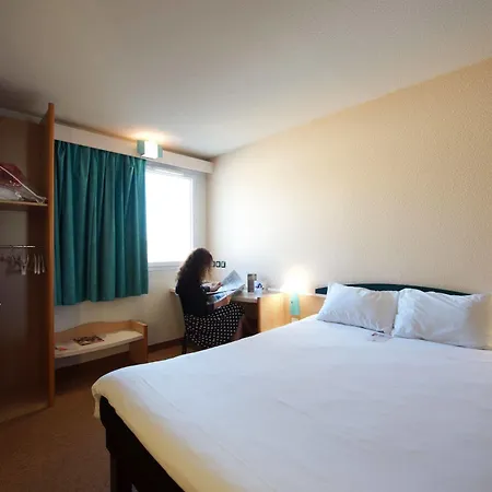 Ibis Albi